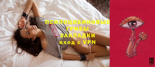 амф Осинники
