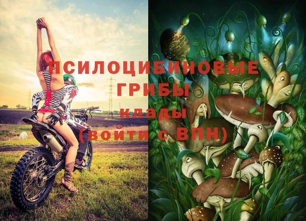 мескалин Осташков