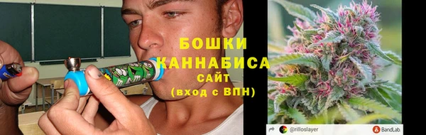 амф Осинники