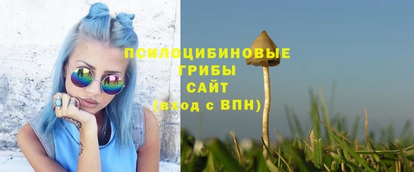 амф Осинники
