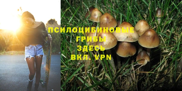 амф Осинники