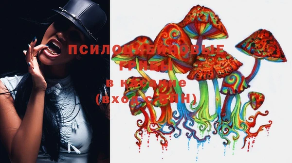амф Осинники