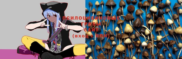 амф Осинники